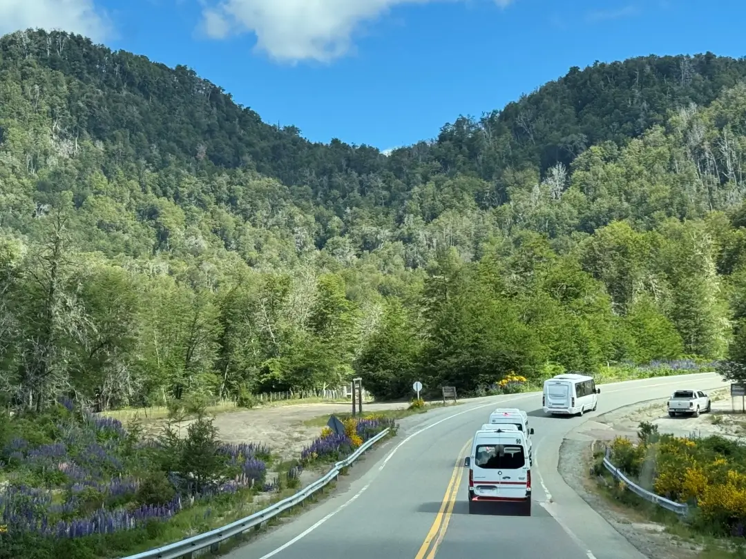 transfer bariloche pet