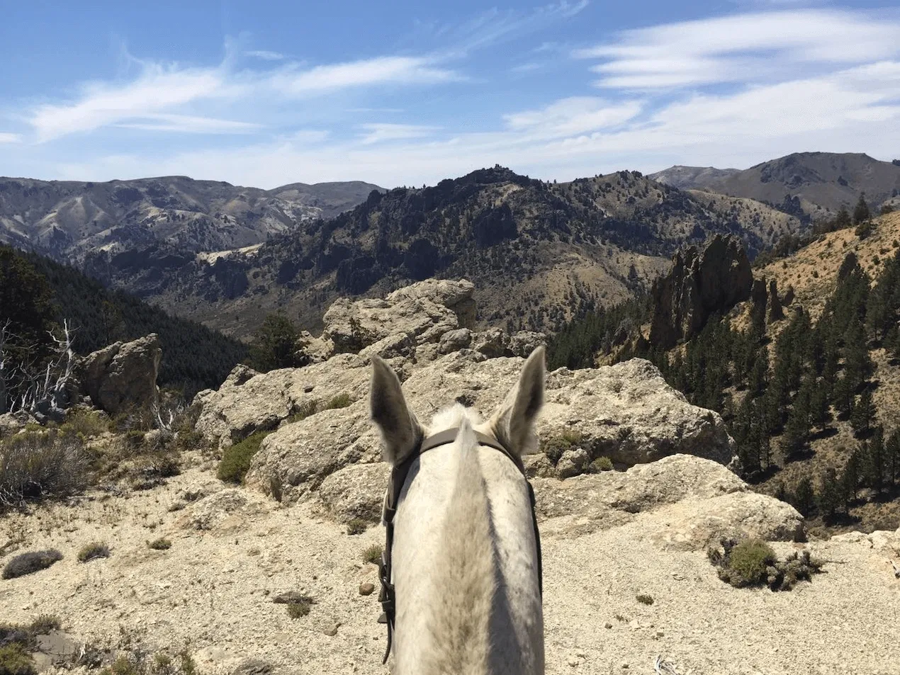 Cabalgata La Fragua